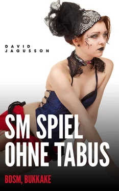 David Jagusson SM Spiel ohne Tabus (BDSM, Bukkake) обложка книги