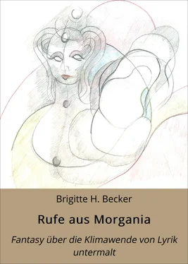 Brigitte H. Becker Rufe aus Morgania обложка книги