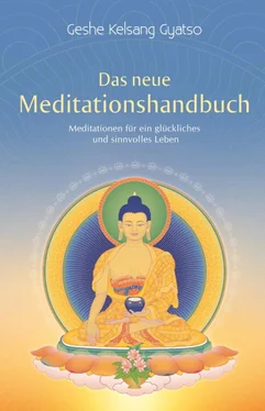 Geshe Kelsang Gyatso Das neue Meditationshandbuch обложка книги