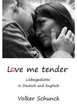 Volker Schunck Love me tender обложка книги