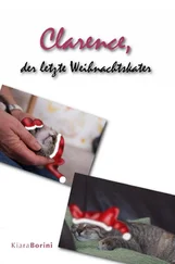 Kiara Borini - Clarence, der letzte Weihnachtskater