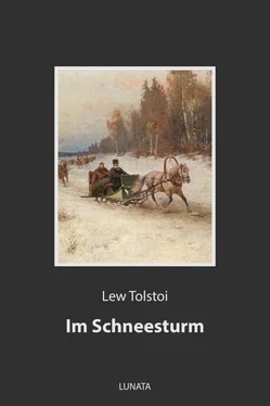 Lew Tolstoi Im Schneesturm обложка книги