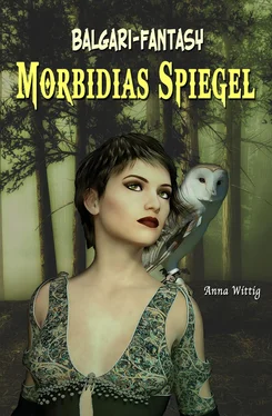 anna wittig Morbidias Spiegel обложка книги