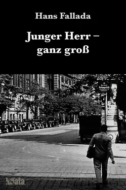 Hans Fallada Junger Herr ganz groß обложка книги