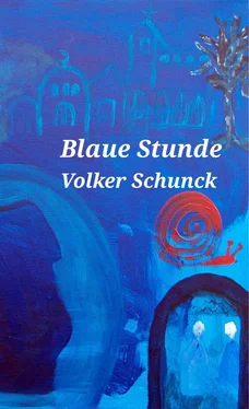 Volker Schunck Blaue Stunde обложка книги