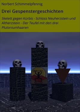 Norbert Schimmelpfennig Drei Gespenstergeschichten обложка книги