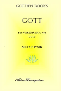 Anton Baumgärtner Gott обложка книги