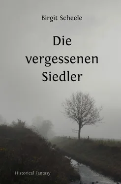 Birgit Scheele Die vergessenen Siedler обложка книги