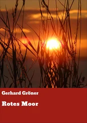 Gerhard Gröner - Rotes Moor