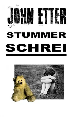 John Etter JOHN ETTER - Stummer Schrei обложка книги