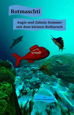 Norbert Schimmelpfennig Rotmaschti - Augis und Zahnis Sommer mit dem kleinen Rotbarsch обложка книги