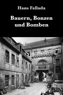 Hans Fallada Bauern, Bonzen und Bomben обложка книги