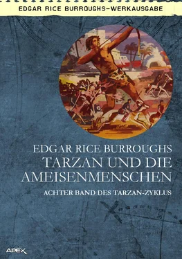 Edgar Burroughs TARZAN UND DIE AMEISENMENSCHEN обложка книги