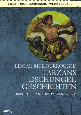 Edgar Burroughs TARZANS DSCHUNGELGESCHICHTEN обложка книги