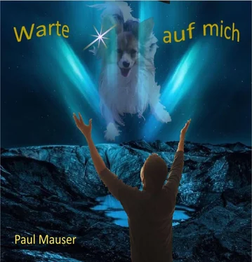 Paul Mauser Warte auf mich обложка книги