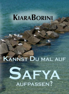 Kiara Borini Kannst Du mal auf Safya aufpassen? обложка книги