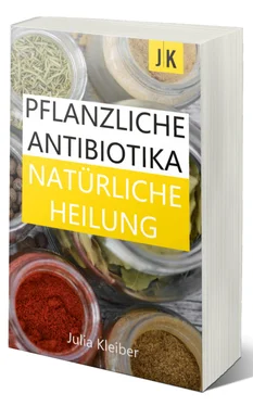 Julia Kleiber Pflanzliche Antibiotika - Natürliche Antibiotika - Natürliche Heilung: Alternative Medizin und Alternative Heilmethoden обложка книги