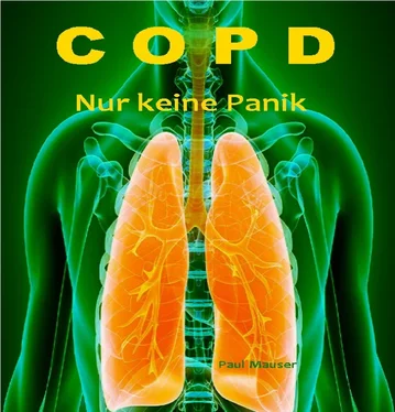 Paul Mauser COPD Nur keine Panik обложка книги