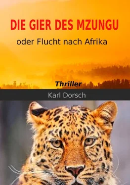 Karl Dorsch Die Gier des Mzungu обложка книги
