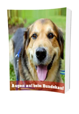 Boris Damzog Augen auf beim Hundekauf обложка книги