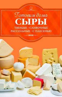 Ирина Веремей Готовим дома сыры. Твердые, сливочные, рассольные, с плесенью обложка книги