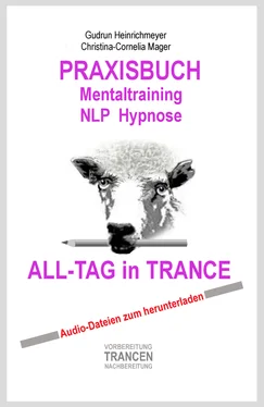 Gudrun Heinrichmeyer PRAXISBUCH Mentaltraining NLP Hypnose ALL-TAG in TRANCE обложка книги