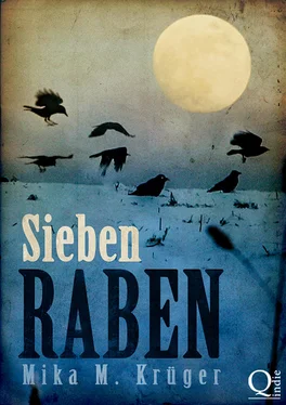 Mika M. Krüger Sieben Raben обложка книги