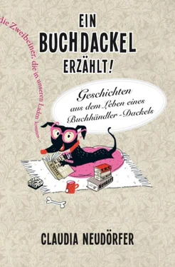 Claudia Neudörfer Ein Buchdackel erzählt! обложка книги