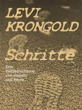 Levi Krongold Schritte обложка книги