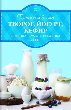 Ирина Веремей Готовим дома творог, йогурт, кефир, ряженку обложка книги