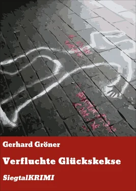 Gerhard Gröner Verfluchte Glückskekse обложка книги