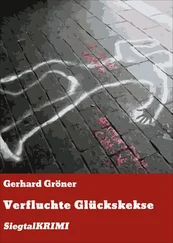 Gerhard Gröner - Verfluchte Glückskekse