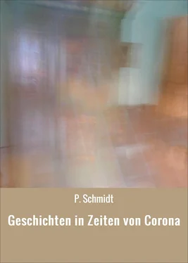 P. Schmidt Geschichten in Zeiten von Corona обложка книги