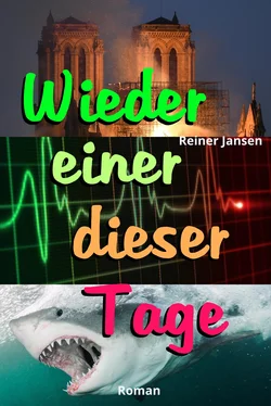 Reiner Jansen Wieder einer dieser Tage обложка книги