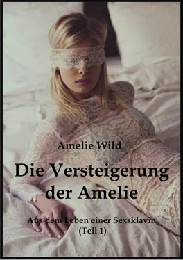 Amelie Wild Die Versteigerung der Amelie обложка книги