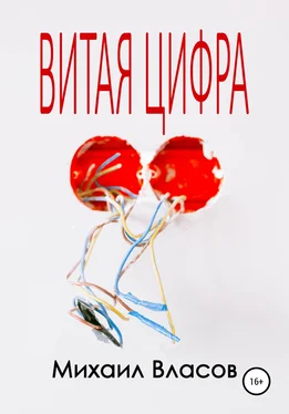 Михаил Власов Витая цифра обложка книги