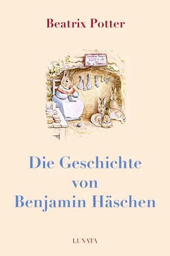 Beatrix Potter Die Geschichte von Benjamin Häschen обложка книги