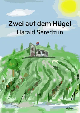Harald Seredzun Zwei auf dem Hügel обложка книги