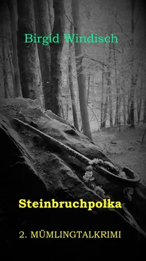 Birgid Windisch Steinbruchpolka обложка книги