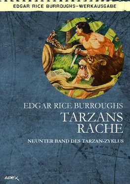 Edgar Burroughs TARZANS RACHE обложка книги