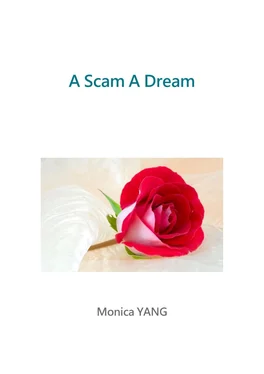 Monica YANG A Scam A Dream обложка книги