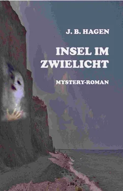 J.B. Hagen Insel im Zwielicht обложка книги