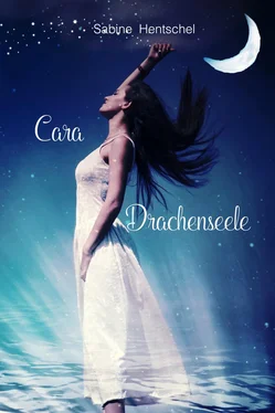 Sabine Hentschel Cara - Drachenseele обложка книги