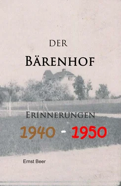 Ernst Beer Der Bärenhof обложка книги