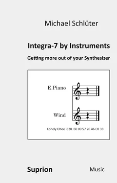 Schlüter Michael INTEGRA-7 by Instruments обложка книги