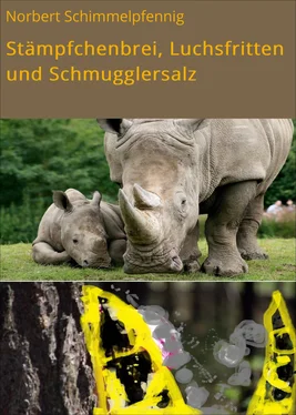 Norbert Schimmelpfennig Stämpfchenbrei, Luchsfritten und Schmugglersalz обложка книги