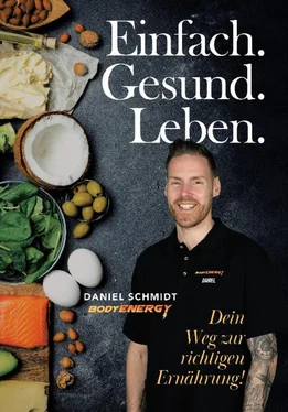 Daniel Schmidt Einfach Gesund Leben обложка книги