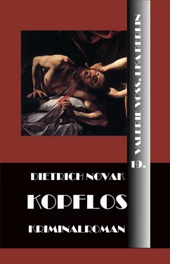 Dietrich Novak Kopflos обложка книги