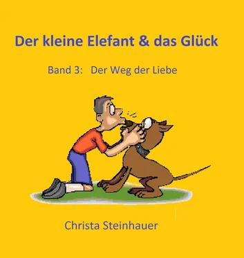 Christa Steinhauer Der kleine Elefant & das Glück обложка книги