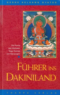 Geshe Kelsang Gyatso Führer ins Dakiniland обложка книги